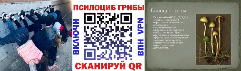 хочу наркоту  Камень-на-Оби  Галлюциногенные грибы мицелий 