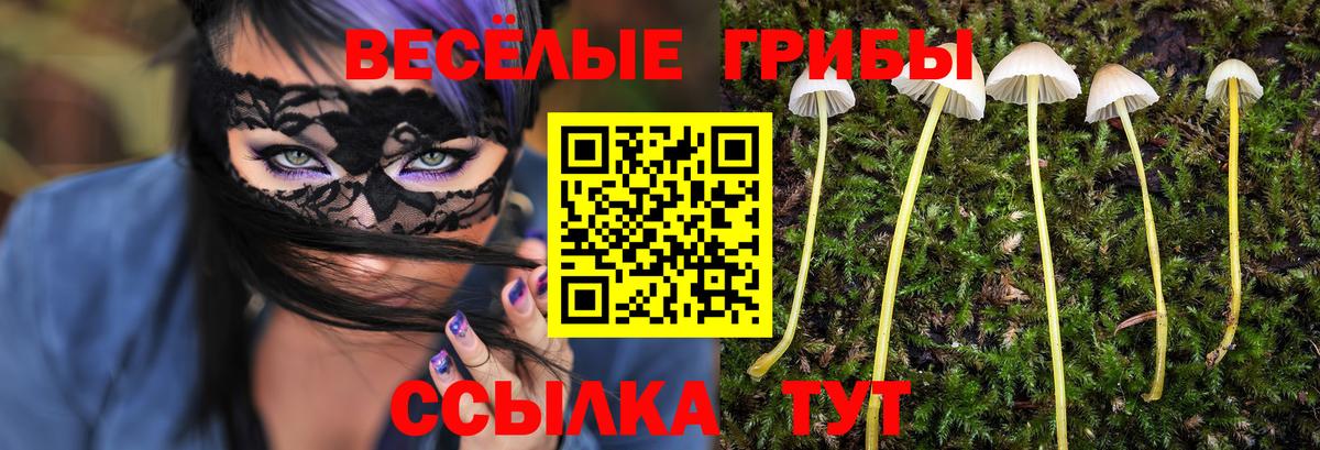 где продают наркотики  Псилоцибиновые грибы GOLDEN TEACHER  Псилоцибиновые грибы Psilocybe  Вход с VPN  Камень-на-Оби 