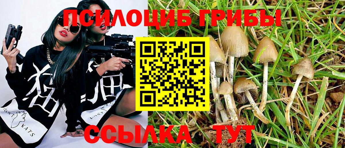 COCAIN  ГАШ  МАРИХУАНА  Мефедрон  Камень-на-Оби  Мефедрон кристаллы  Вход с VPN 